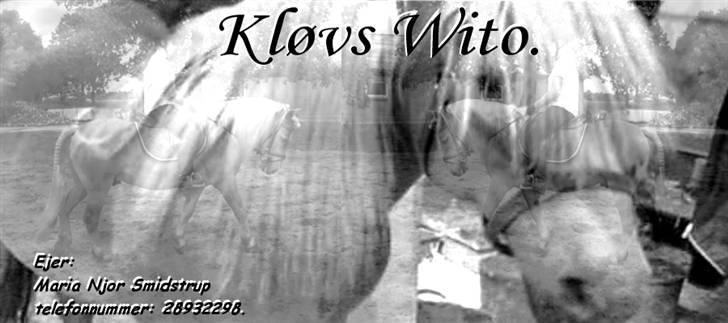 Haflinger Kløvs Wito gammel part:'( - velkommen til Wito´s profil billede 1