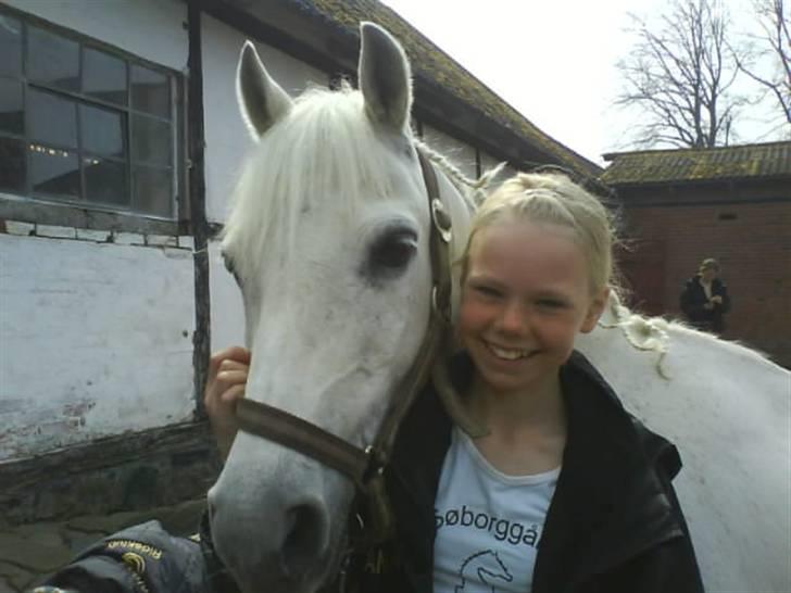 Welsh Pony af Cob-type (sec C) Little Ghost *x-part* <3 - Flotte, hotte, dejlige, søde Ghost og jeg! xD <33 billede 2