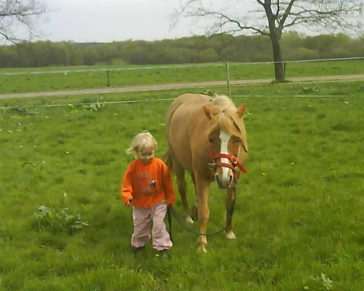 Anden særlig race Blis *Sov godt min pige* - det er råhygge med de 2 billede 10