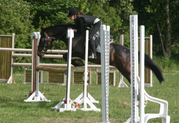 Anden særlig race Voldbjerggårds Musse - Musse og jeg springtræning af Jannike 15/5-09 NVR (100cm) Foto: Helene  billede 4