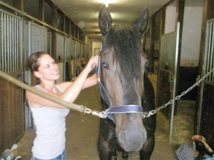 Anden særlig race Tjalfe billede 6