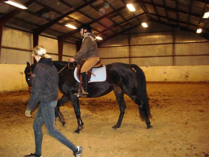 Anden særlig race Bianca *SOLGT* - Også fra første gang jeg red på Bianca. billede 2