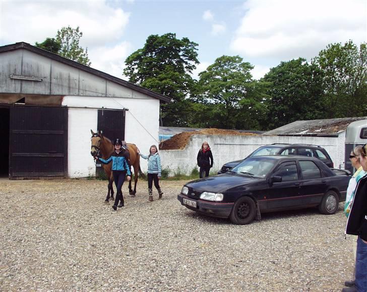 Dansk Varmblod Choies <3 - Mig og choies på vej ud at ride :) billede 2