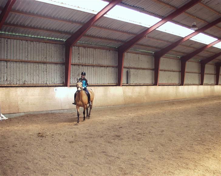 Dansk Varmblod Choies <3 - Så rider vi xD billede 3