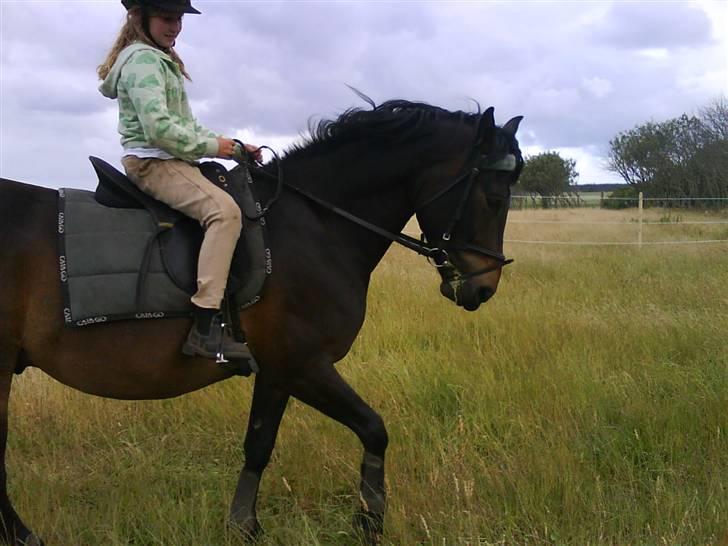 Anden særlig race Pepsi  - se hvor fint jeg går når hun rider mig <3 billede 16