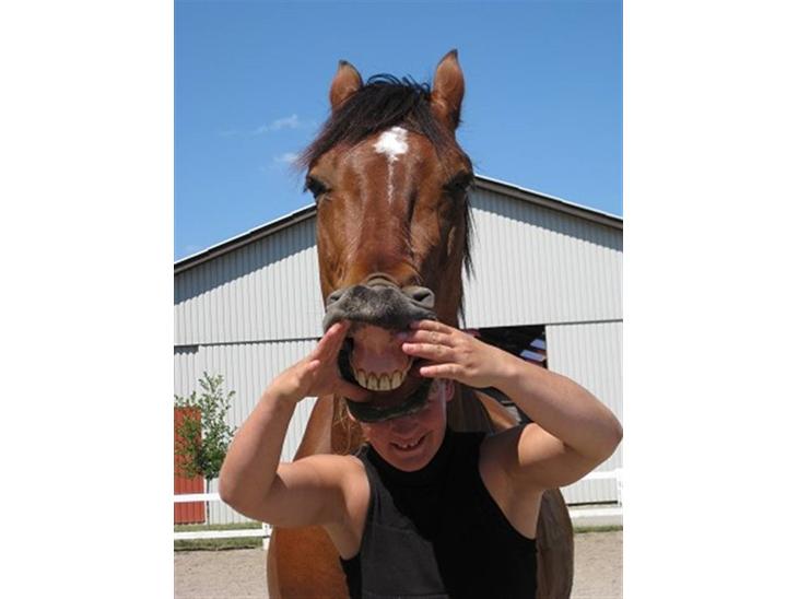 {{currentPhoto.altText}} billede {{currentPhoto.number}}