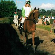 Tysk Sportspony Mooney (Futte)