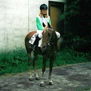 Tysk Sportspony Mooney (Futte)