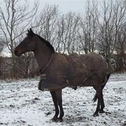 Oldenborg Saski San<3 R.I.P 