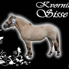 Fjordhest kvornings Sisse hvil i fred 2/12-12