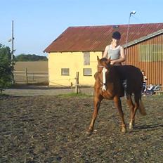 Frederiksborg Atlantis