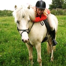 Islænder Baldur fra Lønne