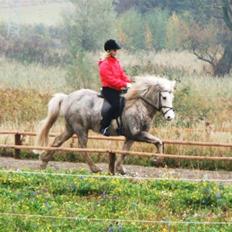 Islænder Baldur fra Lønne