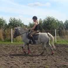 Anden særlig race Candy 