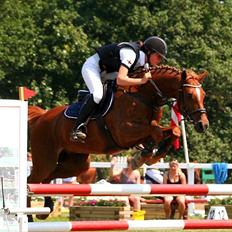 Hollandsk Sportspony Lorenzo solgt :/ 