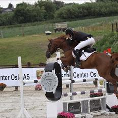 Hollandsk Sportspony Lorenzo solgt :/ 