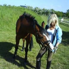 Anden særlig race Lacuna Coil - solgt.