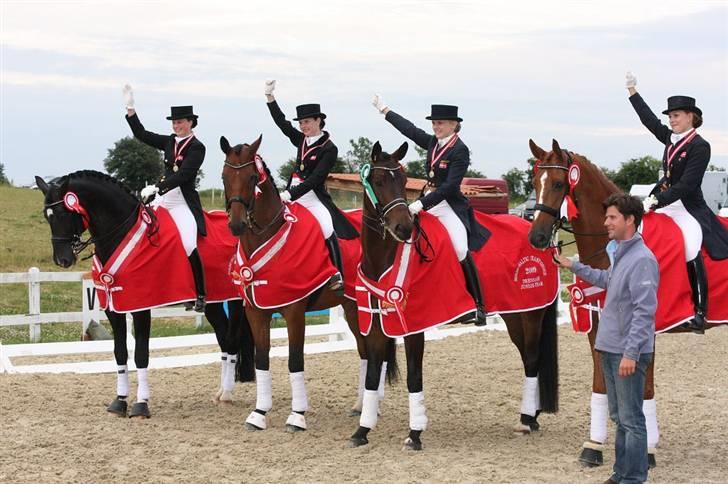 Dansk Varmblod Millibar - Hele holdet ved NM billede 17
