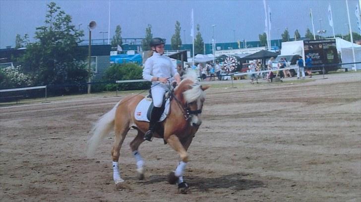 Haflinger WHISKY - Haflinger opvisning i Herning 2010  billede 12