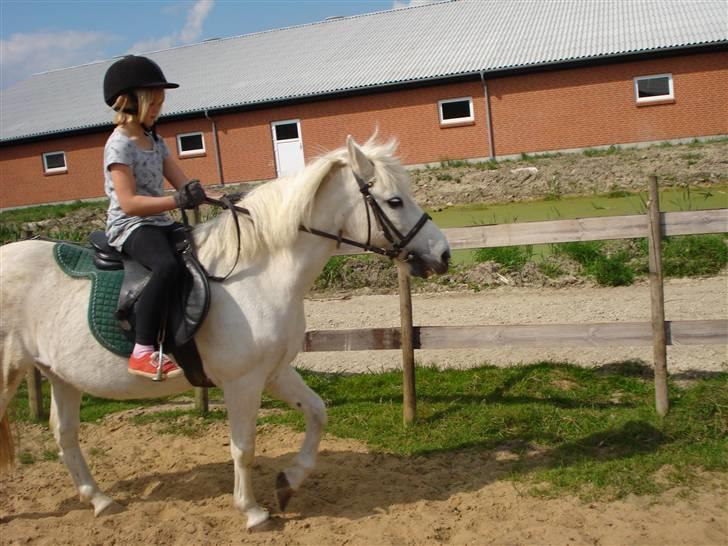 Anden særlig race Quickstep - 10| Camilla rider på quickstep (min søster) billede 10