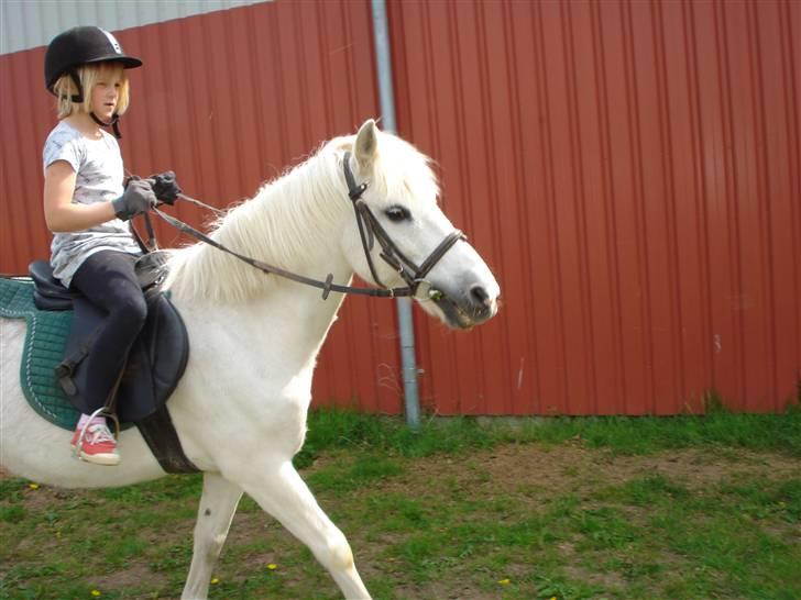 Anden særlig race Quickstep - 11| Hun er altså nybegynder xD  billede 11