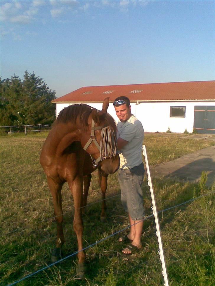 Anden særlig race Zafir*Solgt* :'( -  Hygge stund med min kæreste og Zafir nyder det.. billede 13