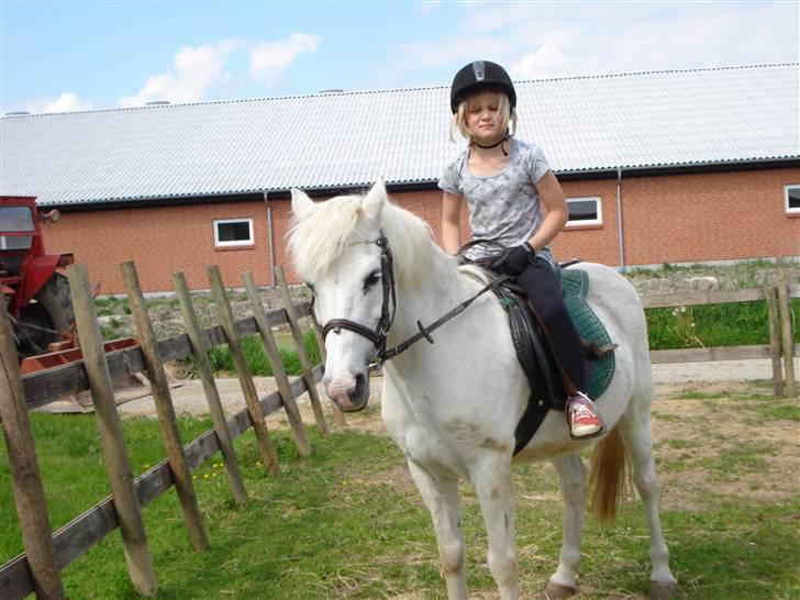 Anden særlig race Quickstep - 13| Lidt sjovt billede :D  billede 13