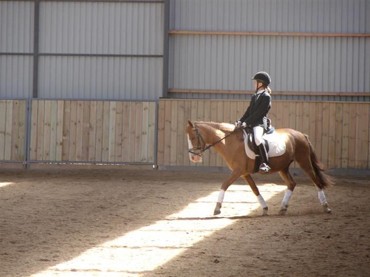 Anden særlig race Rosa R.I.P - er til stævne og vandt 1 plads JUBIIII!!!! billede 1