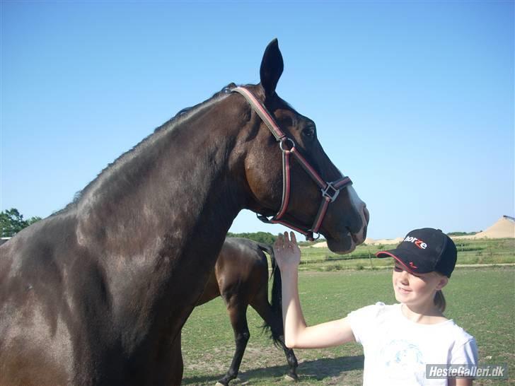 Anden særlig race Dana ( R.I.P. ) - Det er nu skønt at blive kløet  =0) billede 11