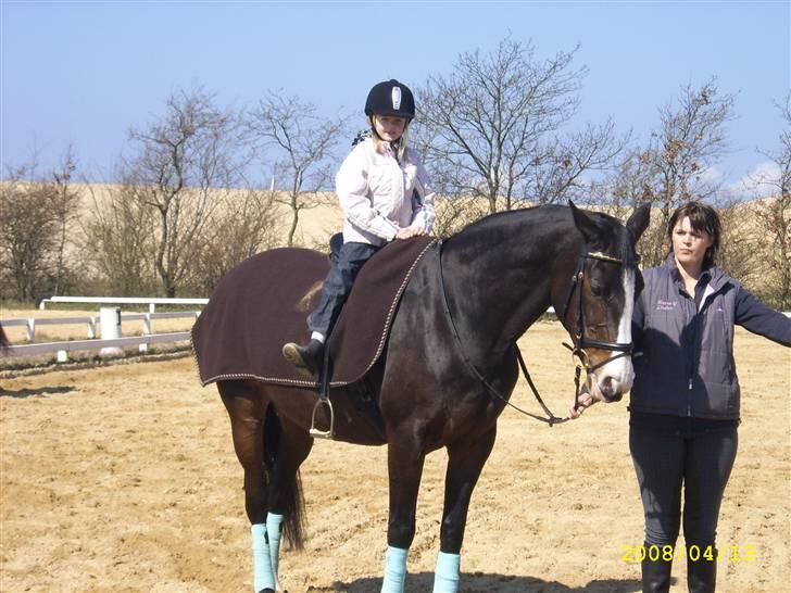 Anden særlig race Dana ( R.I.P. ) - Det er nu dejligt med en trækketur på mors hest :-) billede 12