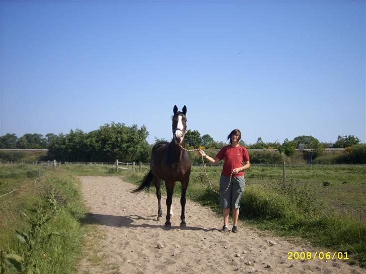 Anden særlig race Dana ( R.I.P. ) - Hvem er det der står der og tager billeder  billede 13