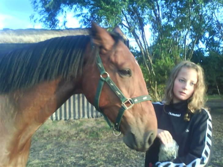 Anden særlig race Nickey *SOLG* - Bassen. Da vi lige var kommet hjem billede 3