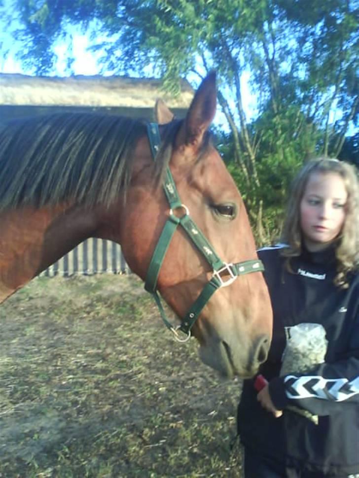 Anden særlig race Nickey *SOLG* - Mmm godbider :P billede 4