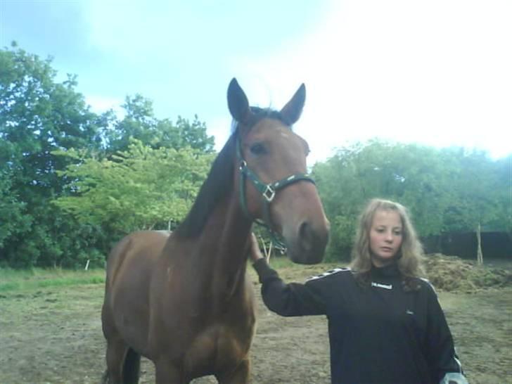 Anden særlig race Nickey *SOLG* - Sara/søs og Bassen billede 6