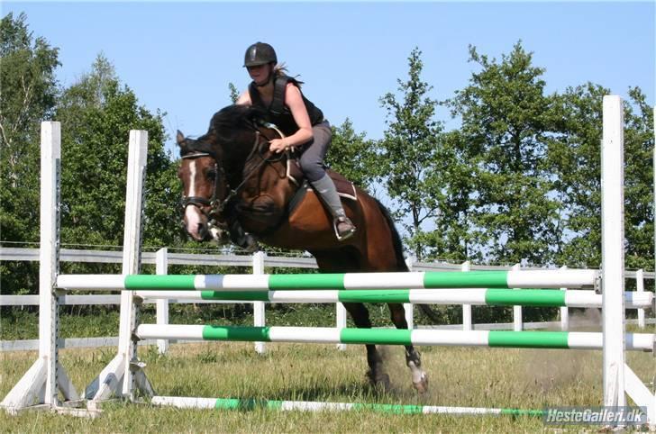 DSP Atlanta (DØD) R.I.P - lonny tog lige en spring tur :D Foto : Lone . P  billede 12