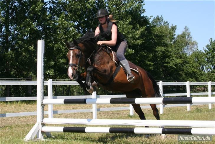 DSP Atlanta (DØD) R.I.P - en til tur (: Foto : Lone . P  billede 13