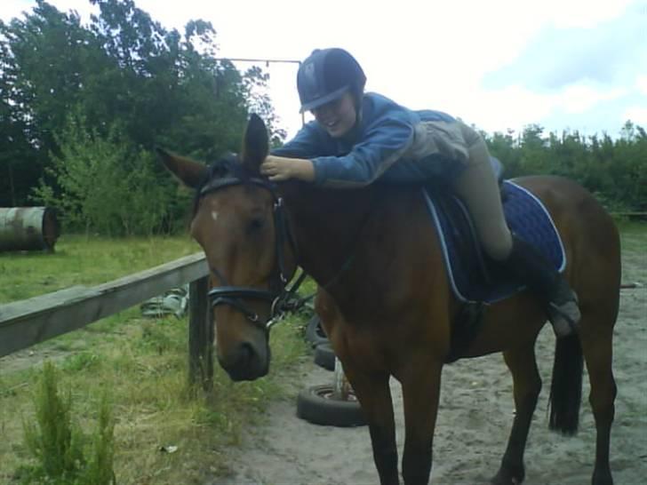 Anden særlig race Nickey *SOLG* - Ørene frem fister :P  billede 13