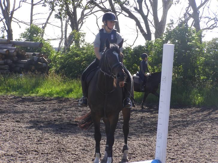 Oldenborg Lindgaards Aladin billede 1