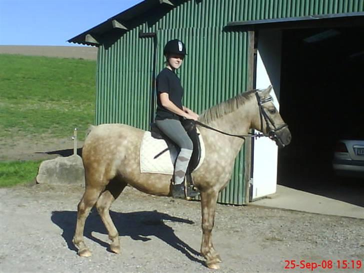 Anden særlig race R.I.P. Blondie ll - jeg savner dig. <3 billede 20