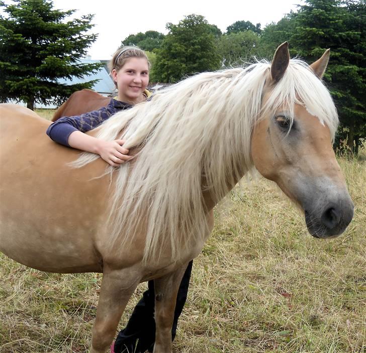 Haflinger Herta - 4) Mig og Herta på sommergræs 2009 billede 4