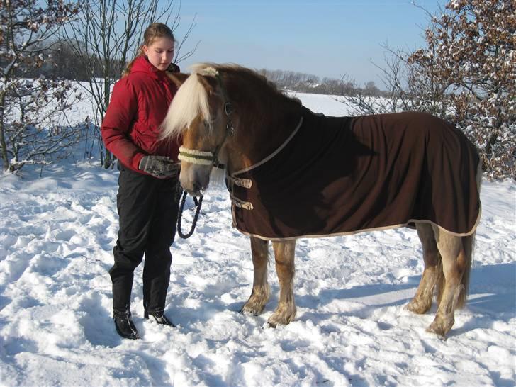 Haflinger Herta - 8) Mig og Herta i sneen 2009 billede 7