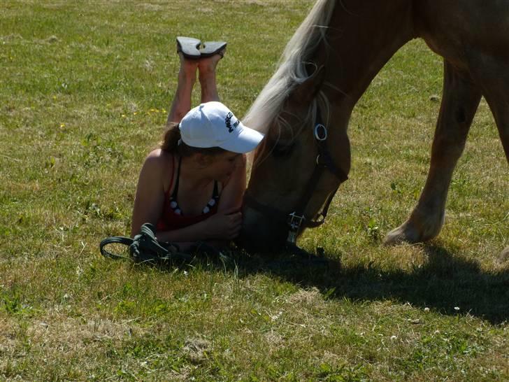 Haflinger Herta - 9) Mig og Herta [sommer 2009] billede 8