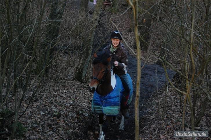 Anden særlig race Molly <'33 (gammel part) - Vi rider op ad bakke ovre i skoven :D. [Foto: Wanner :D] billede 15