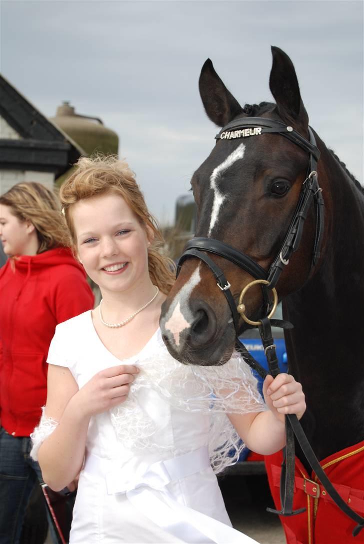 Tysk Sportspony Charmeur - SOLGT - R.I.P - ´smukke charmeur, til min konfirmation! <3 billede 12