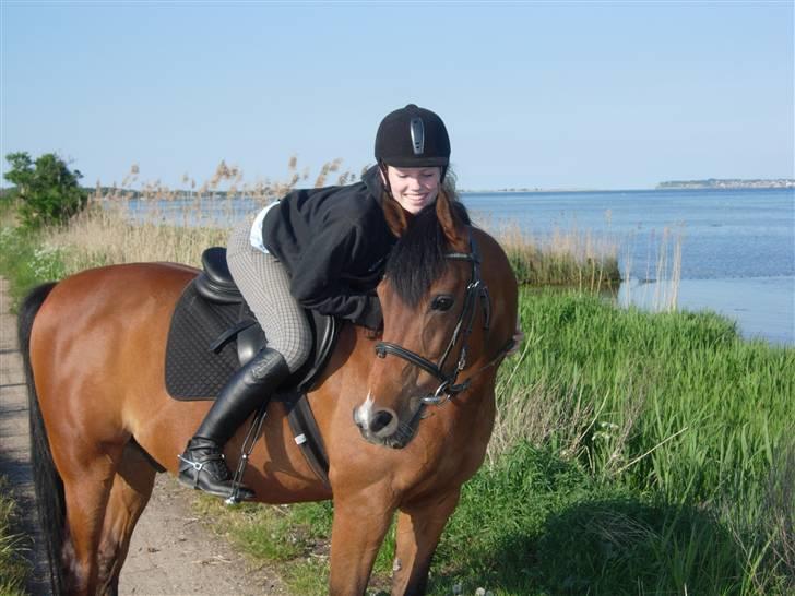 Arabisk fuldblod (OX) Newado - Mig og Newado igen :) billede 6