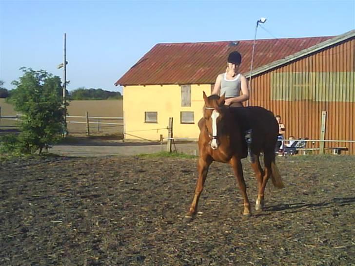 Frederiksborg Atlantis - Schenkel vendinger billede 2