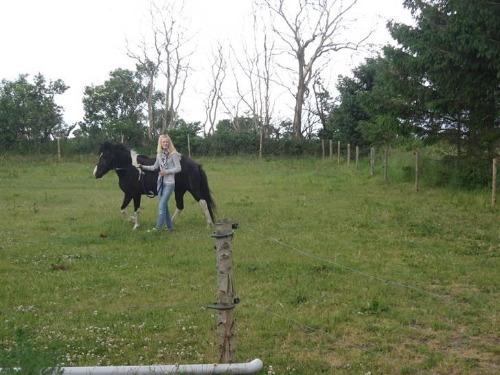 Islænder Katla *tidl. tilridning* - #8 Mig og Katla billede 8