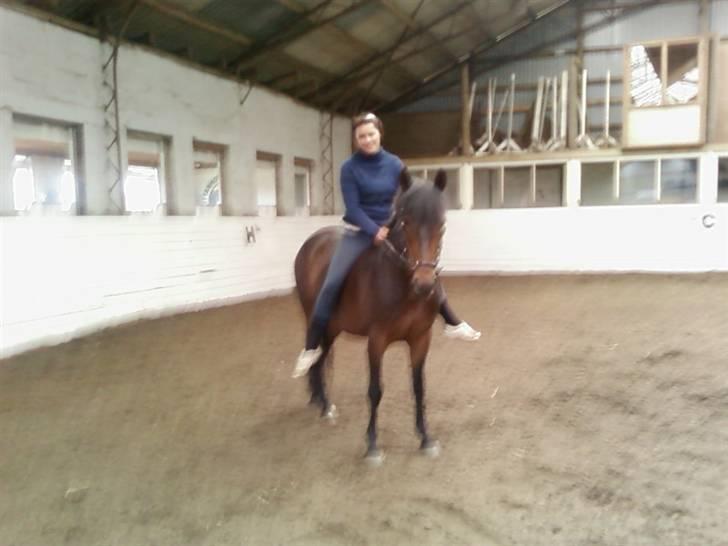 New Forest SOLGT :'( Tanholt Limara billede 4