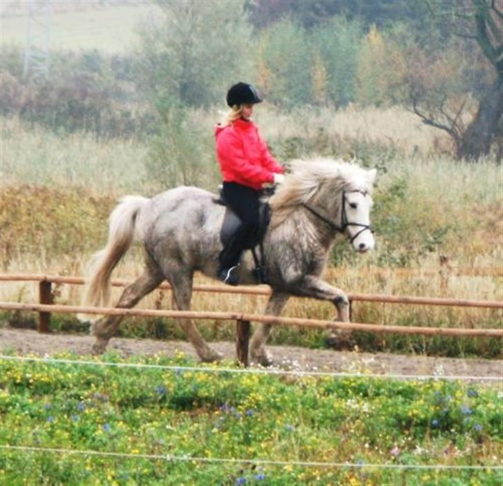 Islænder Baldur fra Lønne - Dennis kursus i oktober - [Foto: Kristiane eller Anna?] <3 billede 2
