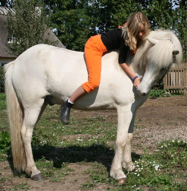 Islænder Baldur fra Lønne - Barbie´drengen. <3 [Foto:  Min mor] billede 10